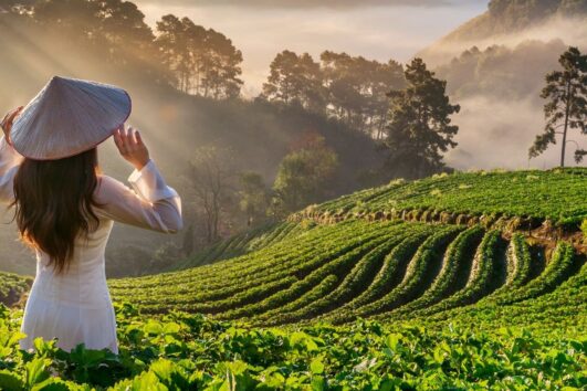 Vietnam